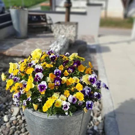 Appartement Gamlitz Appartamento