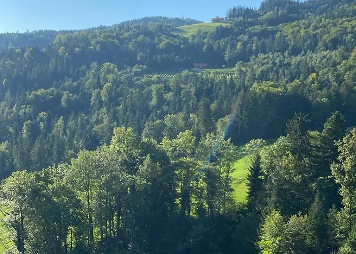 Appartement Gamlitz Appartement