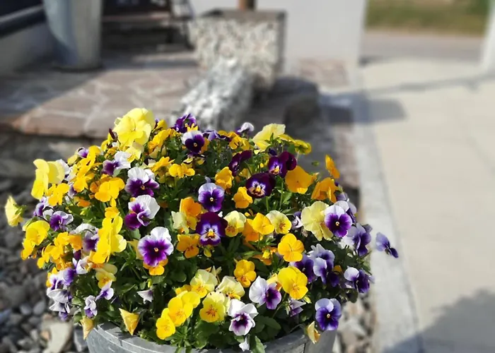 Appartement Gamlitz Appartement